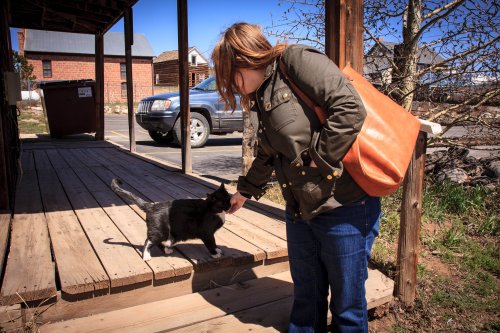 Julia Miller with a friendly local cat